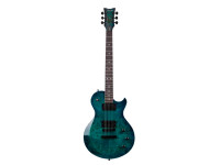 Schecter Schecter